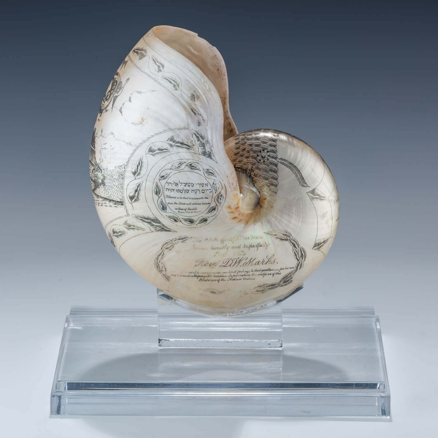 107. A RARE AND IMPORTANT DECORATED NAUTILUS SHELL