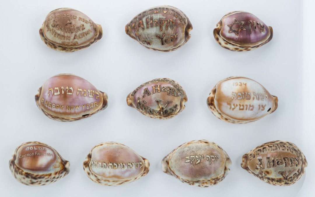 022. A COLLECTION OF TEN JUDAICA ENGRAVED COWRY SHELLS