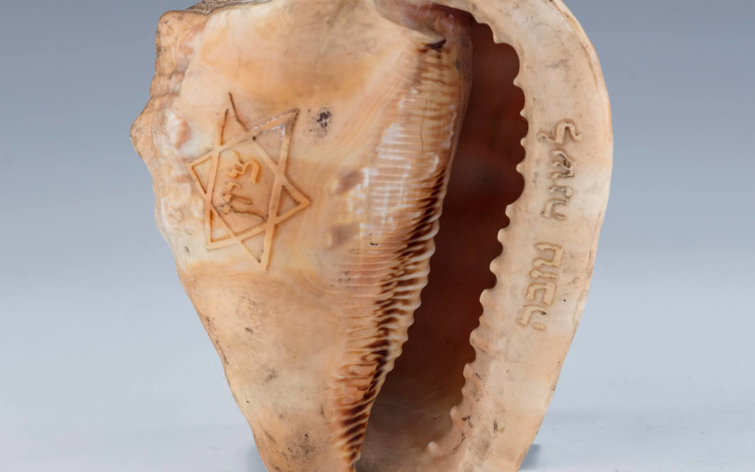 021. A RARE CARVED CONCH SHELL