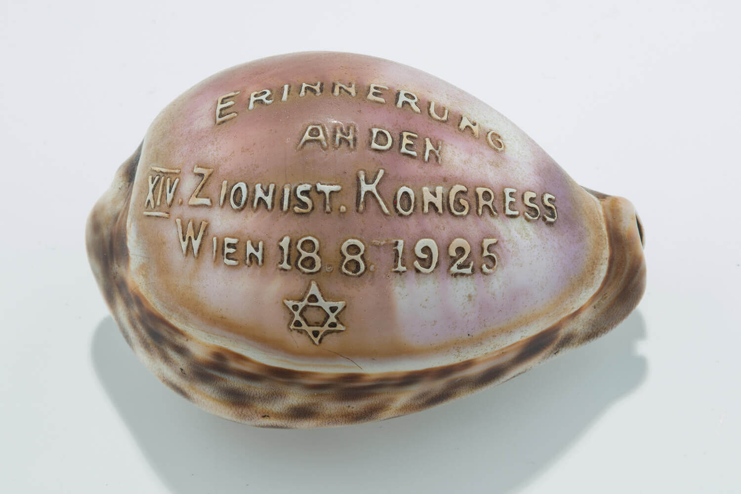 003. A CARVED COWRY SHELL COMMORATING THE 14TH ZIONIST CONGRESS IN VIENNA